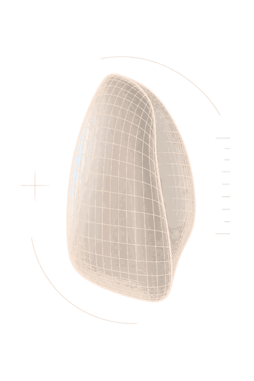 Modelo tridimensional em malha de uma lâmina de porcelana, como no planejamento digital do sorriso